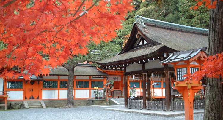 吉田神社